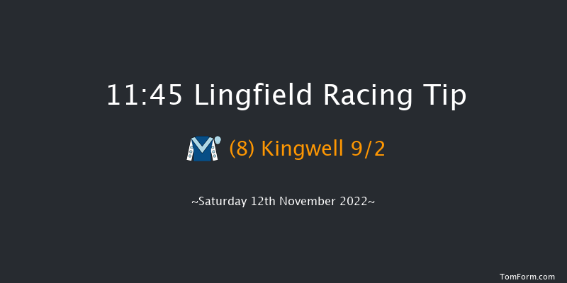 Lingfield 11:45 Handicap (Class 6) 8f Tue 8th Nov 2022