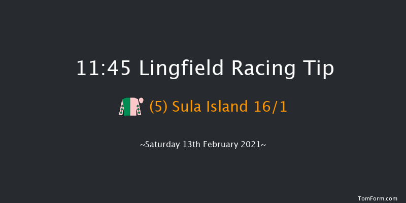 Betway Apprentice Handicap Lingfield 11:45 Handicap (Class 4) 12f Sat 6th Feb 2021