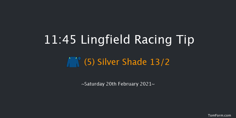 Play Ladbrokes 5-A-Side On Football Handicap Lingfield 11:45 Handicap (Class 5) 12f Fri 19th Feb 2021