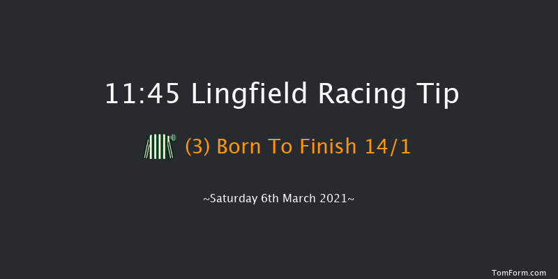 Bombardier British-Hopped Amber Beer Handicap Lingfield 11:45 Handicap (Class 5) 8f Fri 5th Mar 2021