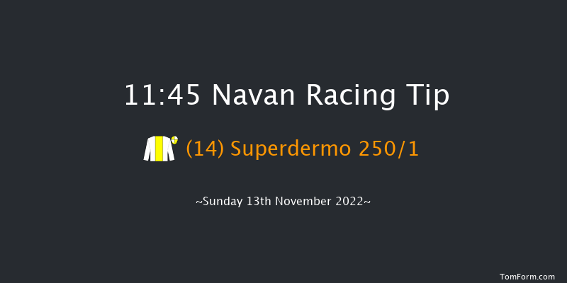 Navan 11:45 Maiden Hurdle 20f Wed 19th Oct 2022