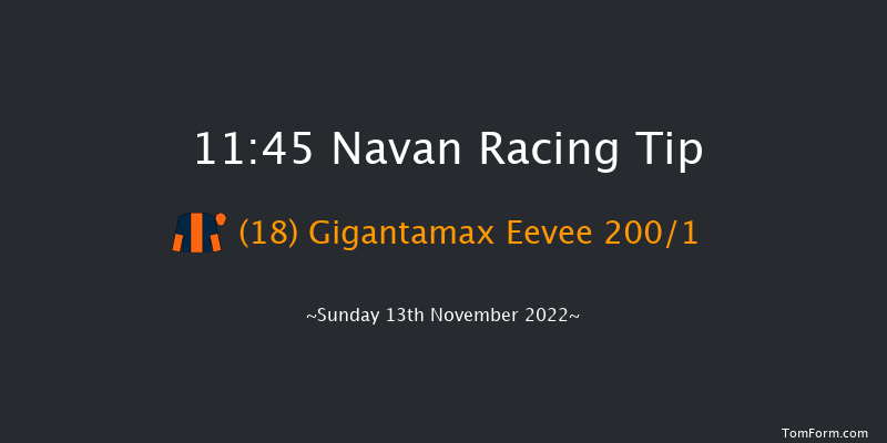 Navan 11:45 Maiden Hurdle 20f Wed 19th Oct 2022