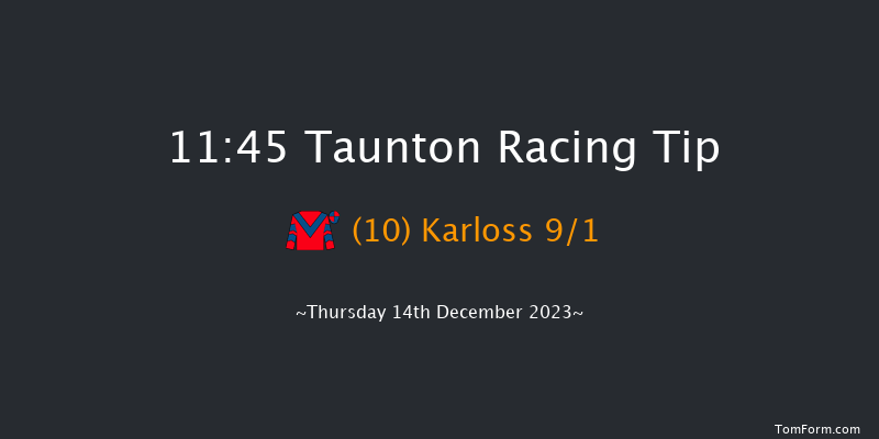 Taunton 11:45 Handicap Hurdle (Class 5) 16f Thu 30th Nov 2023