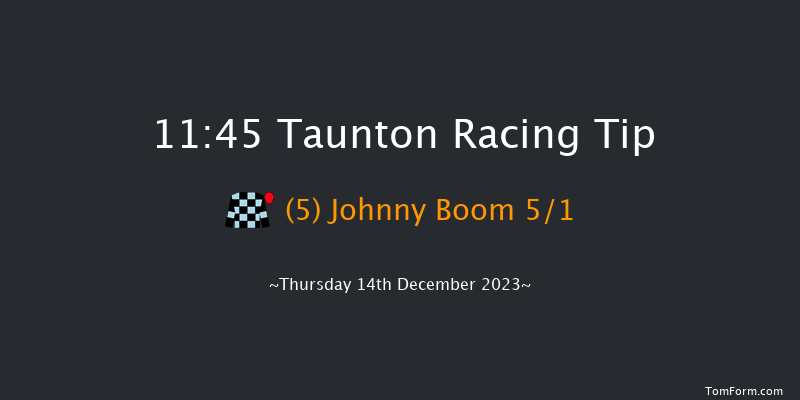 Taunton 11:45 Handicap Hurdle (Class 5) 16f Thu 30th Nov 2023