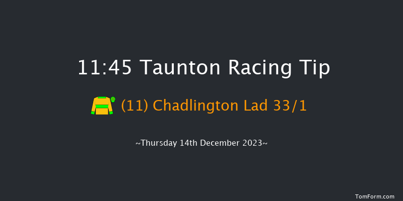 Taunton 11:45 Handicap Hurdle (Class 5) 16f Thu 30th Nov 2023