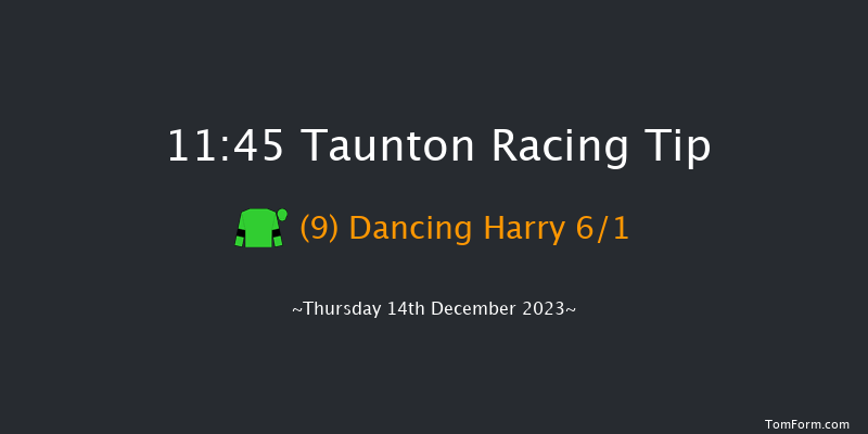 Taunton 11:45 Handicap Hurdle (Class 5) 16f Thu 30th Nov 2023