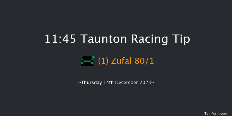 Taunton 11:45 Handicap Hurdle (Class 5) 16f Thu 30th Nov 2023