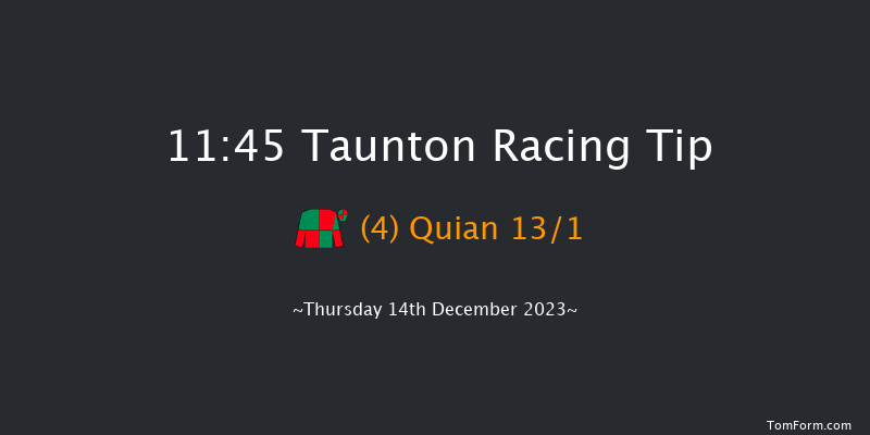 Taunton 11:45 Handicap Hurdle (Class 5) 16f Thu 30th Nov 2023