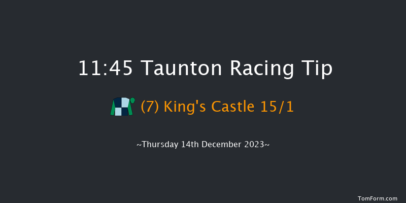 Taunton 11:45 Handicap Hurdle (Class 5) 16f Thu 30th Nov 2023