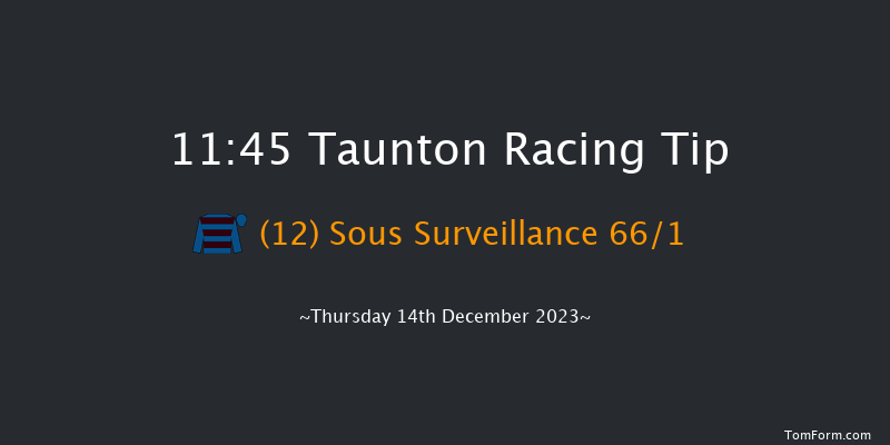 Taunton 11:45 Handicap Hurdle (Class 5) 16f Thu 30th Nov 2023