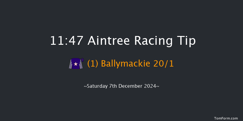 Aintree  11:47 Maiden Chase (Class 2) 20f Sat 9th Nov 2024