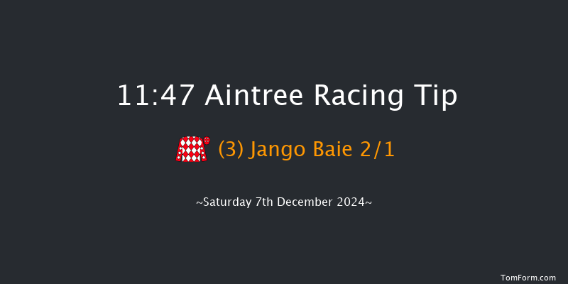 Aintree  11:47 Maiden Chase (Class 2) 20f Sat 9th Nov 2024