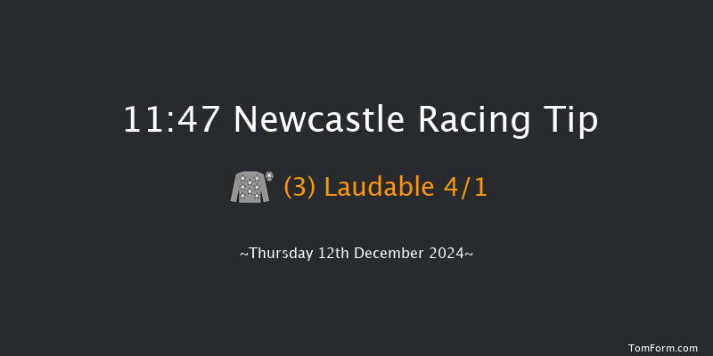 Newcastle  11:47 Handicap (Class 6) 12f Fri 6th Dec 2024