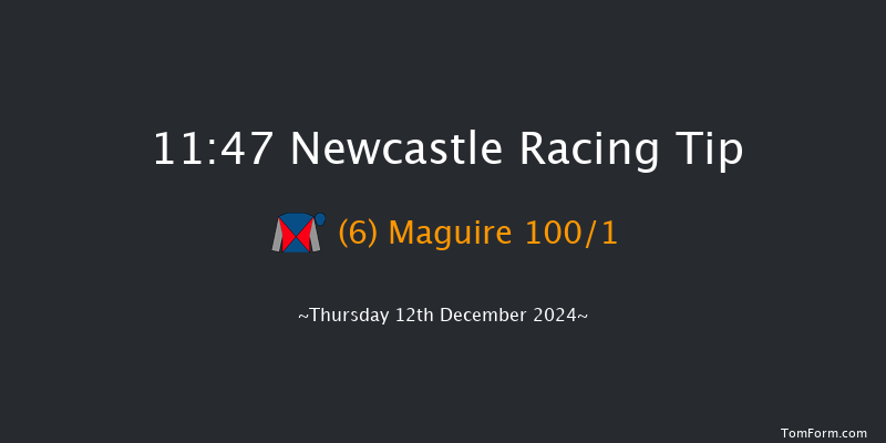 Newcastle  11:47 Handicap (Class 6) 12f Fri 6th Dec 2024