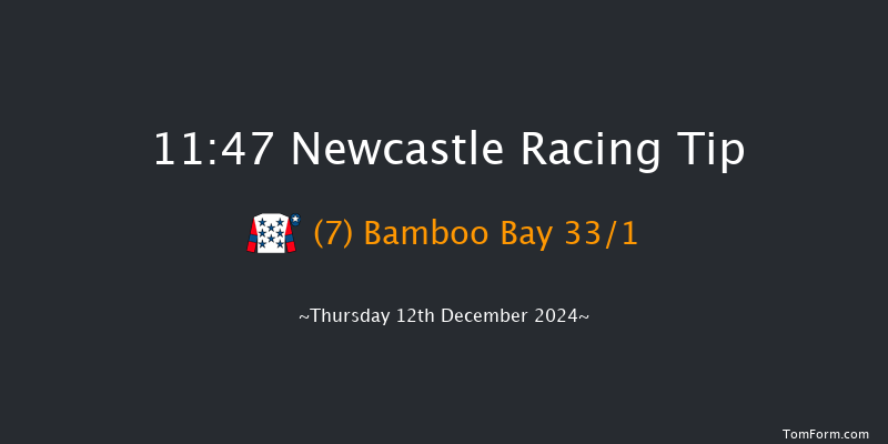 Newcastle  11:47 Handicap (Class 6) 12f Fri 6th Dec 2024