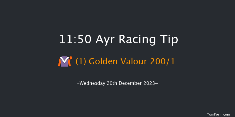 Ayr 11:50 Maiden Hurdle (Class 4) 16f Mon 11th Dec 2023