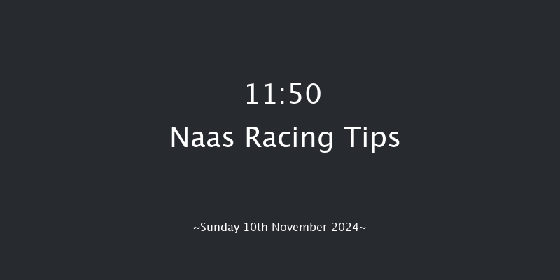 Naas  11:50 Handicap Chase 20f Sun 13th Oct 2024