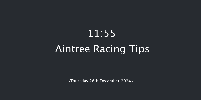 Aintree  11:55 Handicap Hurdle (Class 4) 20f Sat 9th Nov 2024