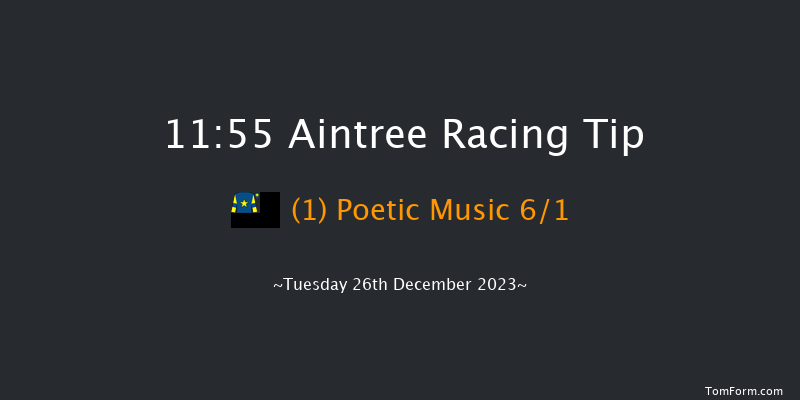 Aintree 11:55 Handicap Hurdle (Class 4) 20f Sat 9th Dec 2023