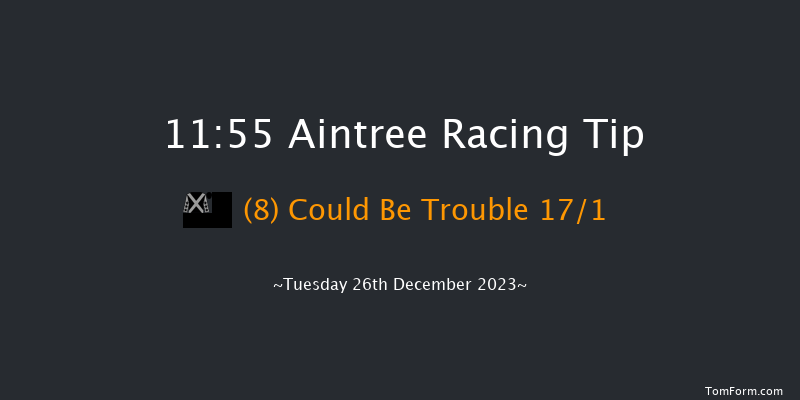 Aintree 11:55 Handicap Hurdle (Class 4) 20f Sat 9th Dec 2023