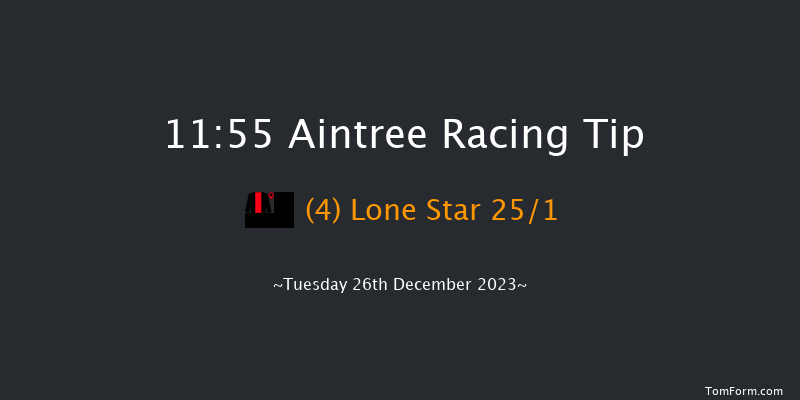 Aintree 11:55 Handicap Hurdle (Class 4) 20f Sat 9th Dec 2023