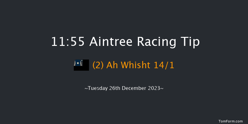 Aintree 11:55 Handicap Hurdle (Class 4) 20f Sat 9th Dec 2023