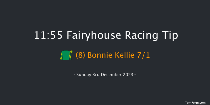 Fairyhouse 11:55 Handicap Chase 20f Sat 2nd Dec 2023