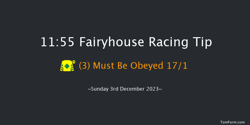 Fairyhouse 11:55 Handicap Chase 20f Sat 2nd Dec 2023