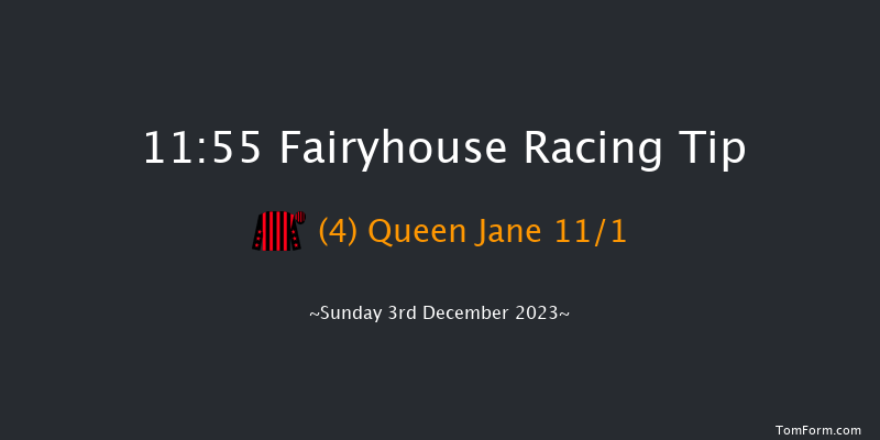 Fairyhouse 11:55 Handicap Chase 20f Sat 2nd Dec 2023