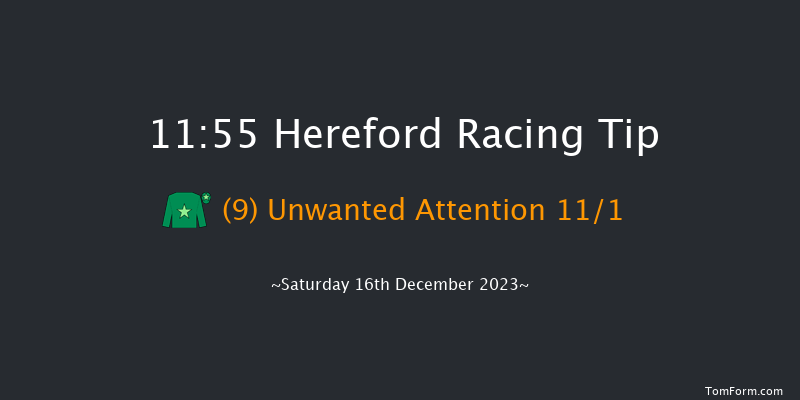 Hereford 11:55 Handicap Chase (Class 5) 21f Wed 29th Nov 2023