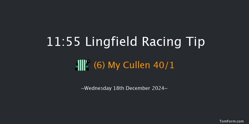 Lingfield  11:55 Maiden Hurdle (Class 4) 20f Wed 4th Dec 2024