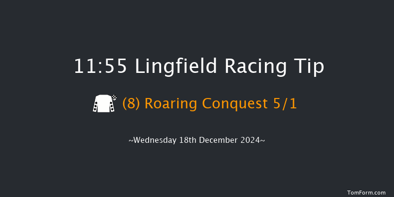 Lingfield  11:55 Maiden Hurdle (Class 4) 20f Wed 4th Dec 2024