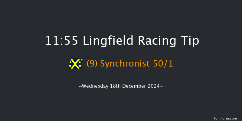 Lingfield  11:55 Maiden Hurdle (Class 4) 20f Wed 4th Dec 2024