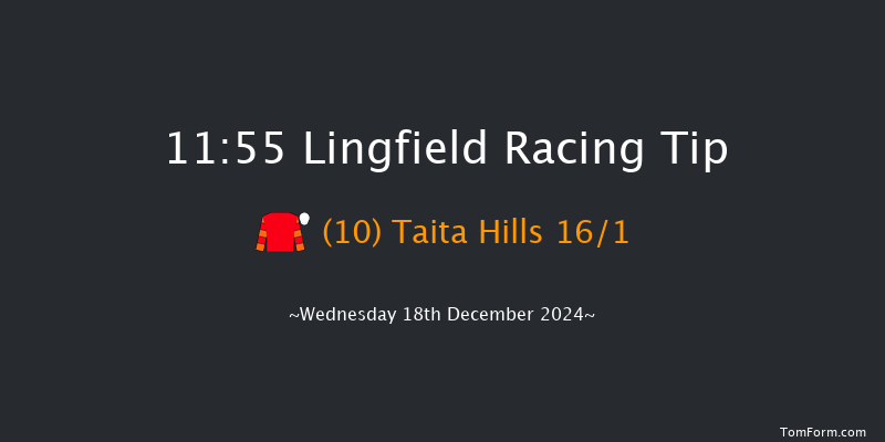 Lingfield  11:55 Maiden Hurdle (Class 4) 20f Wed 4th Dec 2024