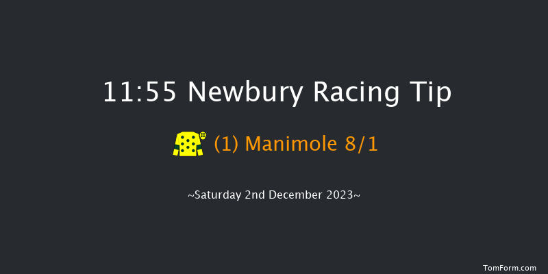 Newbury 11:55 Maiden Hurdle (Class 1) 16f Fri 1st Dec 2023