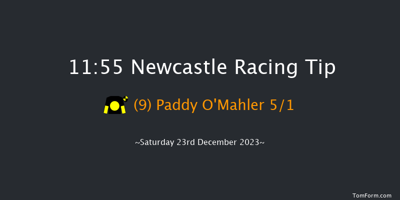 Newcastle 11:55 Maiden Hurdle (Class 4) 17f Sat 16th Dec 2023