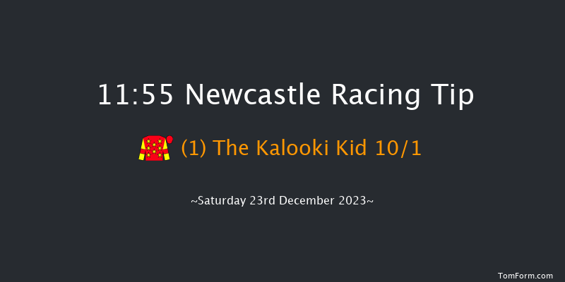 Newcastle 11:55 Maiden Hurdle (Class 4) 17f Sat 16th Dec 2023