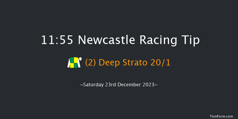 Newcastle 11:55 Maiden Hurdle (Class 4) 17f Sat 16th Dec 2023