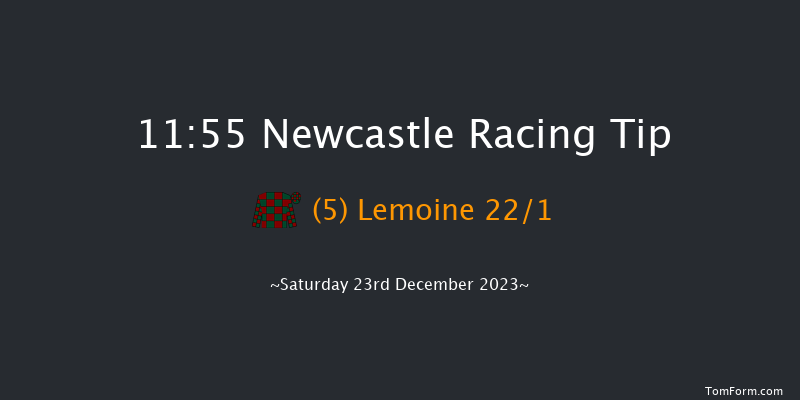 Newcastle 11:55 Maiden Hurdle (Class 4) 17f Sat 16th Dec 2023