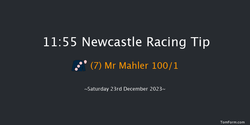 Newcastle 11:55 Maiden Hurdle (Class 4) 17f Sat 16th Dec 2023