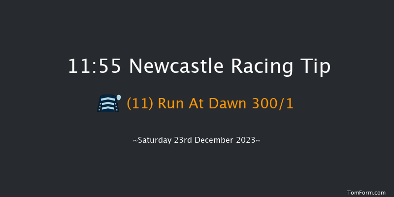 Newcastle 11:55 Maiden Hurdle (Class 4) 17f Sat 16th Dec 2023