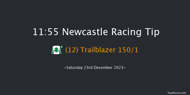 Newcastle 11:55 Maiden Hurdle (Class 4) 17f Sat 16th Dec 2023