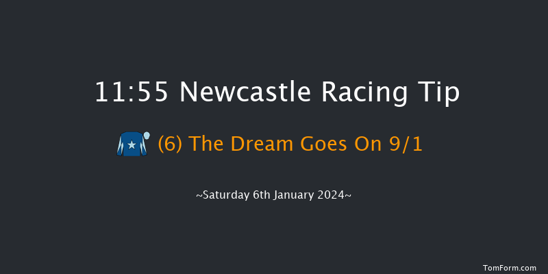 Newcastle 11:55 Stakes (Class 5) 16f Thu 4th Jan 2024