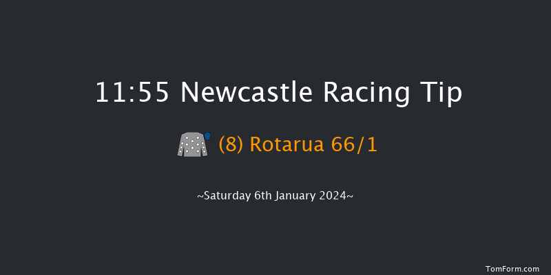 Newcastle 11:55 Stakes (Class 5) 16f Thu 4th Jan 2024