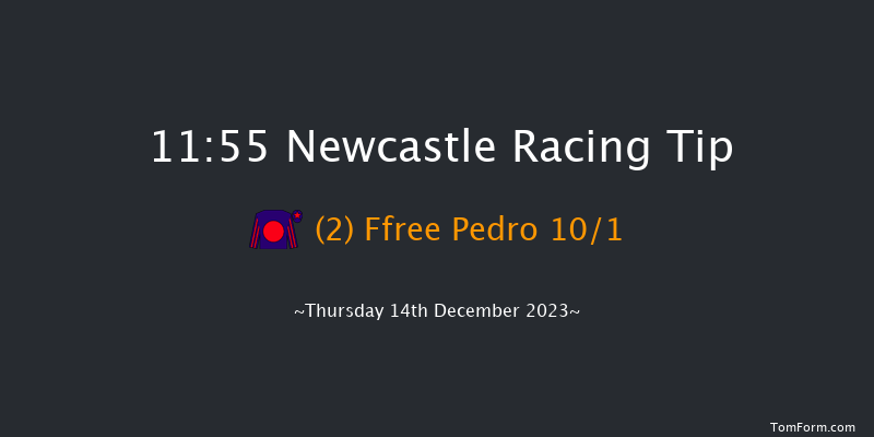 Newcastle 11:55 Handicap Hurdle (Class 5) 20f Sat 9th Dec 2023