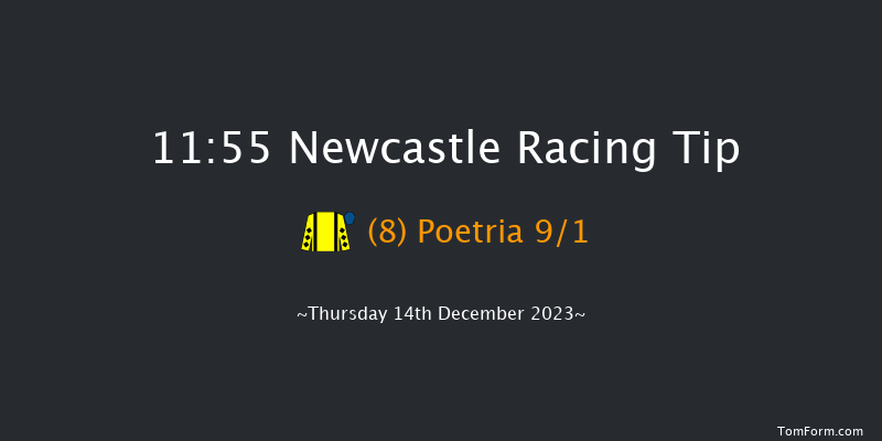 Newcastle 11:55 Handicap Hurdle (Class 5) 20f Sat 9th Dec 2023