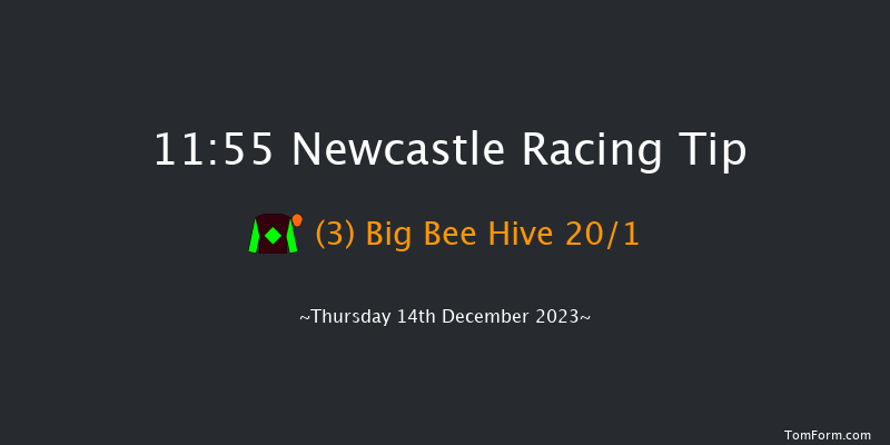 Newcastle 11:55 Handicap Hurdle (Class 5) 20f Sat 9th Dec 2023