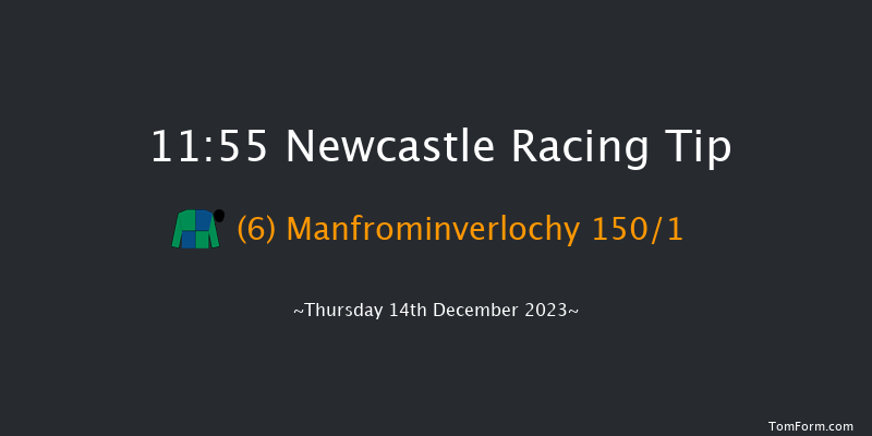 Newcastle 11:55 Handicap Hurdle (Class 5) 20f Sat 9th Dec 2023