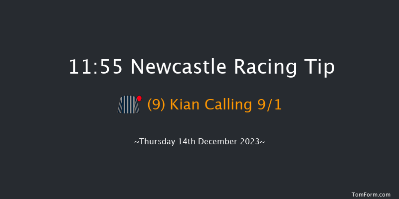 Newcastle 11:55 Handicap Hurdle (Class 5) 20f Sat 9th Dec 2023