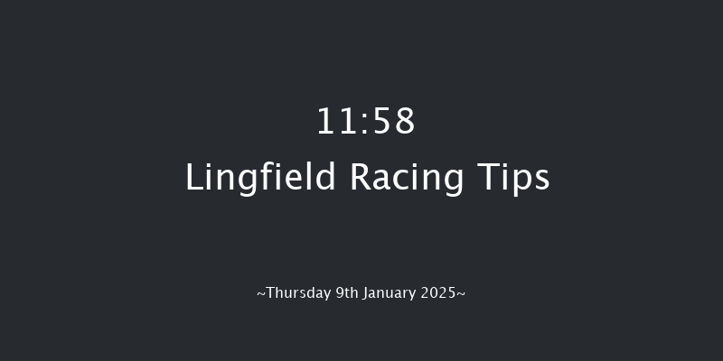 Lingfield  11:58 Handicap (Class 4) 10f Fri 3rd Jan 2025